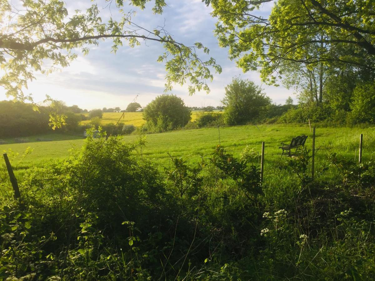 Blyth Lodge B&B Halesworth Dış mekan fotoğraf